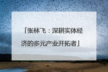 张林飞：深耕实体经济的多元产业开拓者