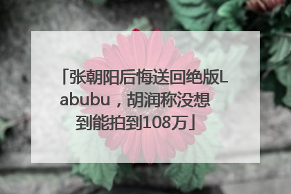 张朝阳后悔送回绝版Labubu，胡润称没想到能拍到108万
