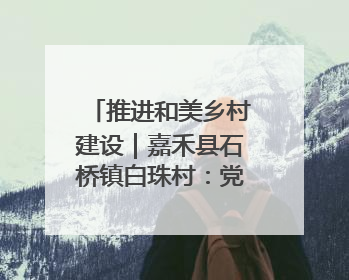 推进和美乡村建设｜嘉禾县石桥镇白珠村：党建引领破“空”局 乡贤聚力绘就新图景
