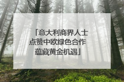 意大利商界人士点赞中欧绿色合作蕴藏黄金机遇
