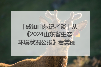 感知山东记者谈｜从《2024山东省生态环境状况公报》看美丽山东建设的“成绩单”与“任务书”