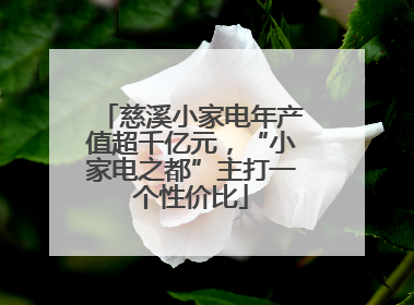慈溪小家电年产值超千亿元，“小家电之都”主打一个性价比