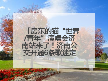 房东的猫“世界/青年”演唱会济南站来了！济南公交开通6条歌迷定制专线