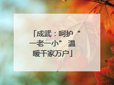 成武：呵护“一老一小” 温暖千家万户