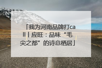 我为河南品牌打call丨应旺：品味“毛尖之都”的诗意栖居