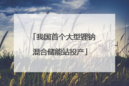 我国首个大型锂钠混合储能站投产