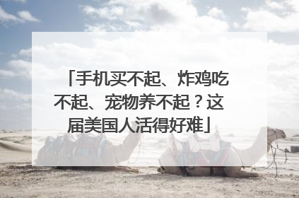 手机买不起、炸鸡吃不起、宠物养不起？这届美国人活得好难