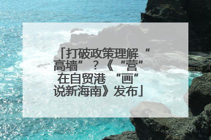 打破政策理解“高墙”？《“营”在自贸港 “画”说新海南》发布