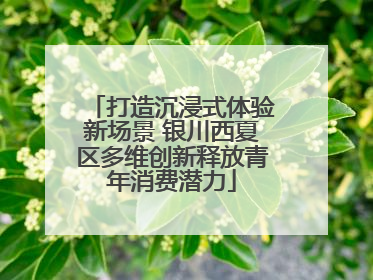 打造沉浸式体验新场景 银川西夏区多维创新释放青年消费潜力