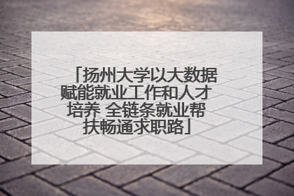 扬州大学以大数据赋能就业工作和人才培养 全链条就业帮扶畅通求职路