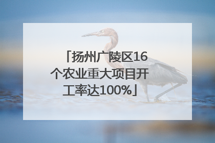 扬州广陵区16个农业重大项目开工率达100%