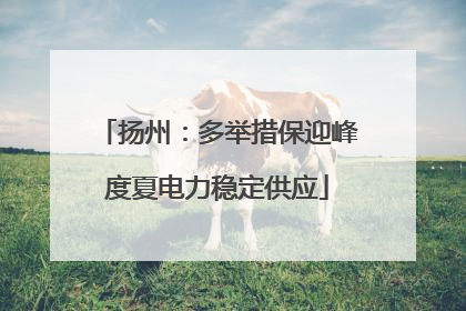 扬州：多举措保迎峰度夏电力稳定供应