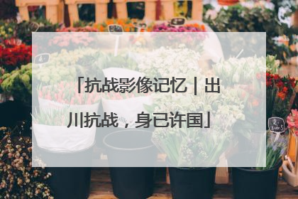 抗战影像记忆｜出川抗战，身已许国