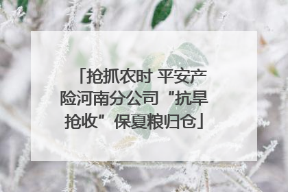 抢抓农时 平安产险河南分公司“抗旱抢收”保夏粮归仓