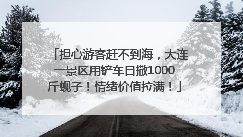担心游客赶不到海，大连一景区用铲车日撒1000斤蚬子！情绪价值拉满！