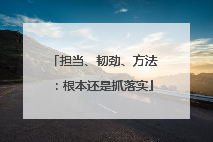 担当、韧劲、方法：根本还是抓落实