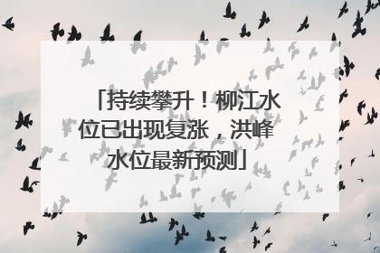 持续攀升！柳江水位已出现复涨，洪峰水位最新预测