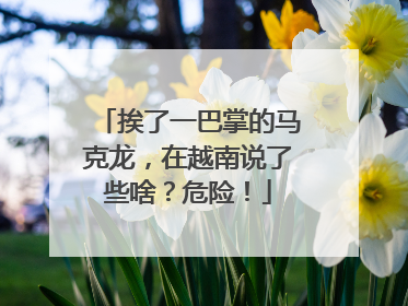 挨了一巴掌的马克龙，在越南说了些啥？危险！