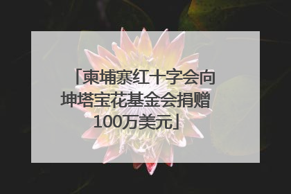 柬埔寨红十字会向坤塔宝花基金会捐赠100万美元