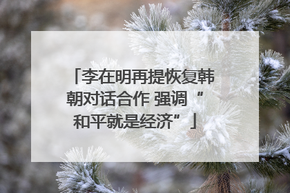 李在明再提恢复韩朝对话合作 强调“和平就是经济”