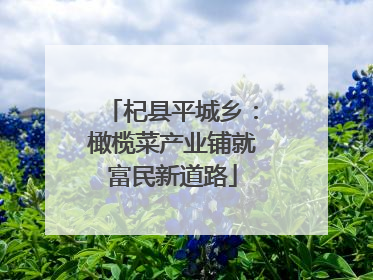 杞县平城乡：橄榄菜产业铺就富民新道路