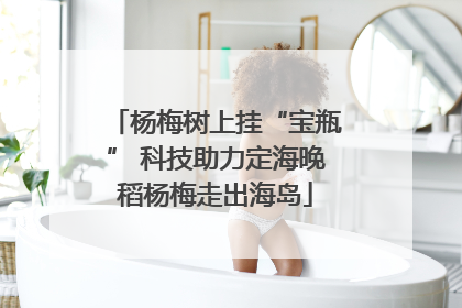 杨梅树上挂“宝瓶” 科技助力定海晚稻杨梅走出海岛