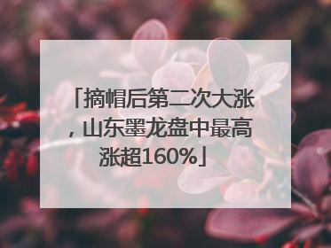 摘帽后第二次大涨，山东墨龙盘中最高涨超160%