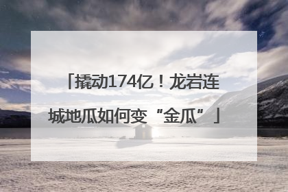 撬动174亿！龙岩连城地瓜如何变“金瓜”