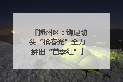 播州区：铆足劲头“抢春光”全力拼出“首季红”