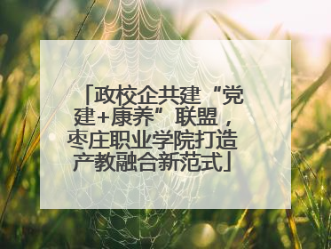 政校企共建“党建+康养”联盟，枣庄职业学院打造产教融合新范式