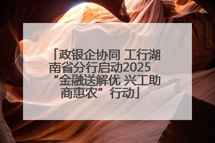 政银企协同 工行湖南省分行启动2025“金融送解优 兴工助商惠农”行动
