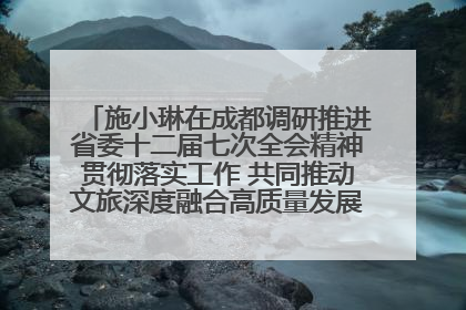 施小琳在成都调研推进省委十二届七次全会精神贯彻落实工作 共同推动文旅深度融合高质量发展 加快打造支柱产业民生产业幸福产业