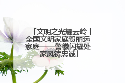 文明之光耀云岭丨全国文明家庭贺丽远家庭——警徽闪耀处 家风铸忠诚