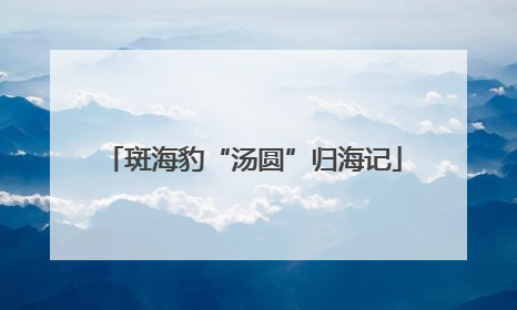 斑海豹“汤圆”归海记