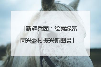 新疆兵团：绘就绿富同兴乡村振兴新图景