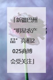 新疆巴州“明星农产品”亮相2025商博会受关注