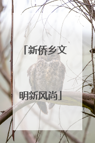 新侨乡文明新风尚