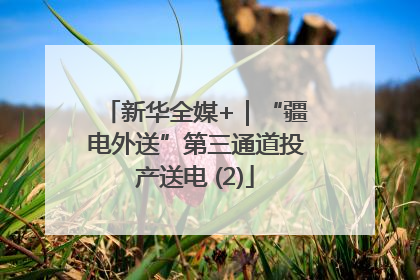新华全媒+｜“疆电外送”第三通道投产送电 (2)