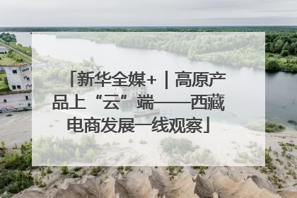 新华全媒+｜高原产品上“云”端——西藏电商发展一线观察
