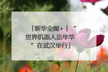 新华全媒+丨“世界机器人嘉年华”在武汉举行