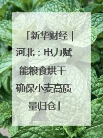 新华财经｜河北：电力赋能粮食烘干 确保小麦高质量归仓