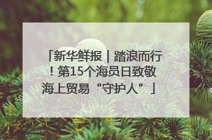 新华鲜报｜踏浪而行！第15个海员日致敬海上贸易“守护人”