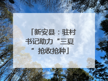 新安县：驻村书记助力“三夏”抢收抢种