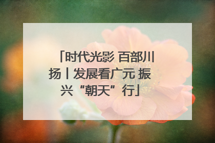 时代光影 百部川扬丨发展看广元 振兴“朝天”行