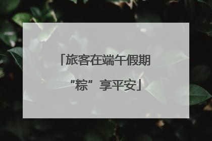 旅客在端午假期“粽”享平安