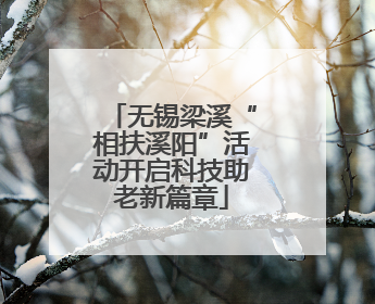 无锡梁溪“相扶溪阳”活动开启科技助老新篇章