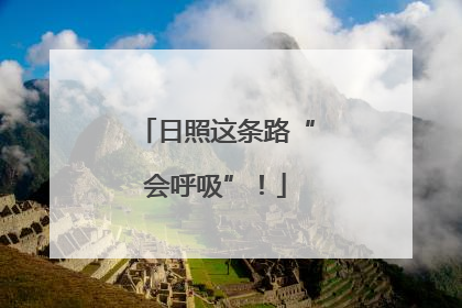 日照这条路“会呼吸”！