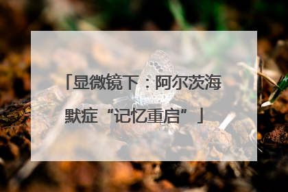 显微镜下：阿尔茨海默症“记忆重启”