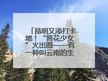 昆明又添打卡地！“簪花少女”火出圈——有一种叫云南的生活之365天