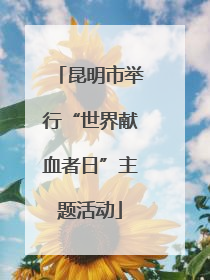 昆明市举行“世界献血者日”主题活动